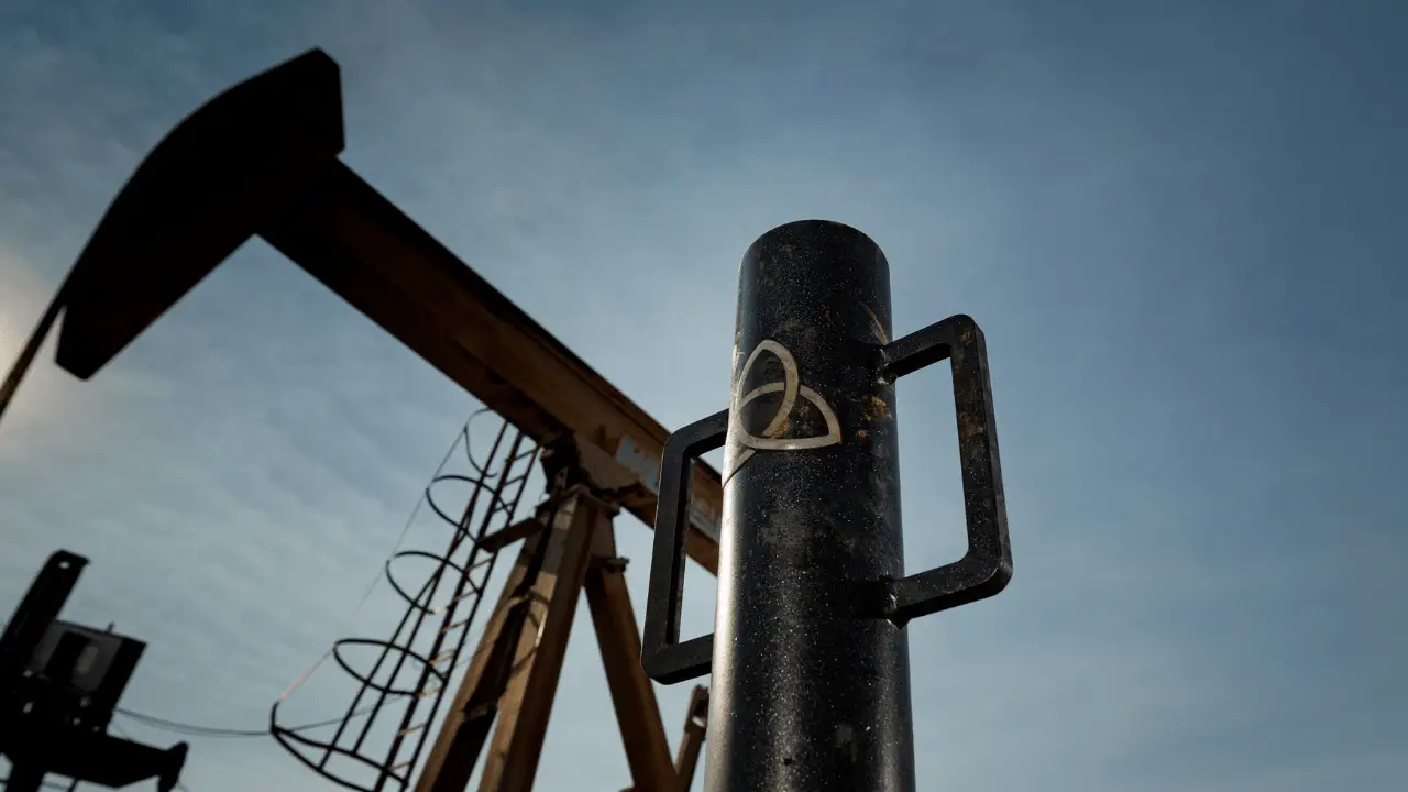 Oilfield plunger lift springs and pads.